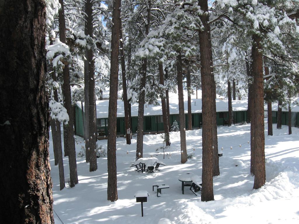 Timberlodge Inn Pinetop-Lakeside Pokoj fotografie